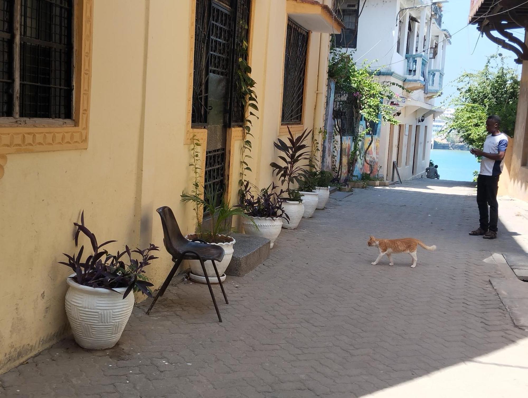Mombasa Comfort House, Old Town Exterior photo